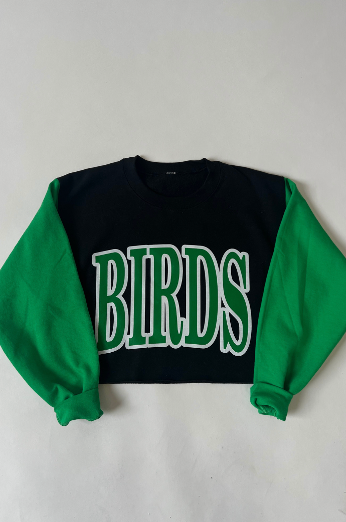 The Birds Colorblock Crewneck